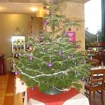 Brasserie Beierhaascht
