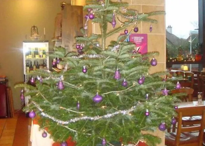 Brasserie Beierhaascht